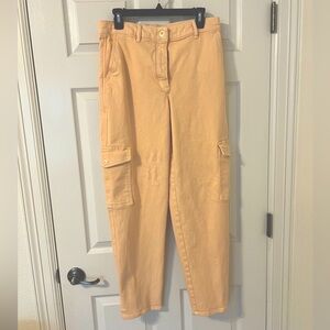 Wilfred Free Aritzia Peach Modern Cargo Pant, Size 10